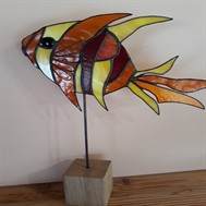 Poissons exotiques.