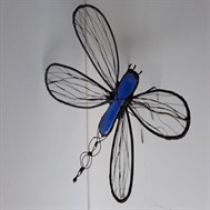 Libellules