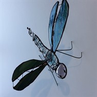 Libellules