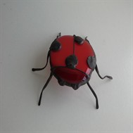 Coccinelle