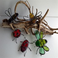 Insectes