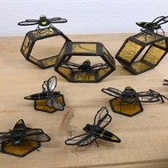 Insectes