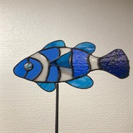 Poissons exotiques.